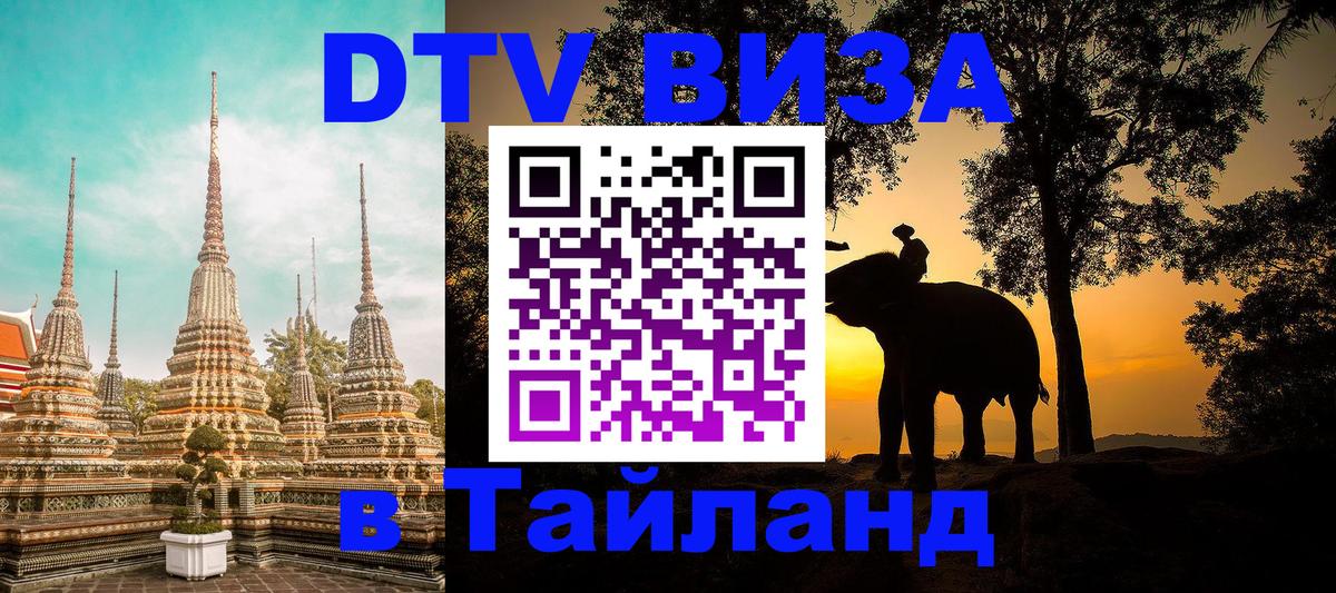 Сколько стоит DTV виза — актуальные цены, оформление даже без документов - 